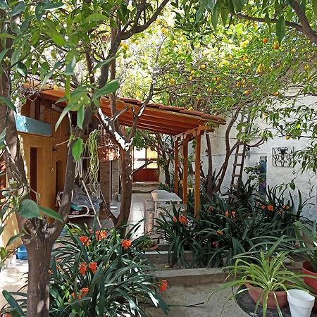 Aegina Town Traditional Lemon House Экстерьер фото